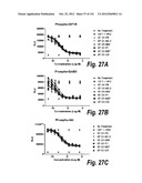 MONOSPECIFIC AND BISPECIFIC ANTI-IGF-1R AND ANTI-ERBB3 ANTIBODIES diagram and image