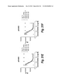 MONOSPECIFIC AND BISPECIFIC ANTI-IGF-1R AND ANTI-ERBB3 ANTIBODIES diagram and image