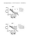 MONOSPECIFIC AND BISPECIFIC ANTI-IGF-1R AND ANTI-ERBB3 ANTIBODIES diagram and image