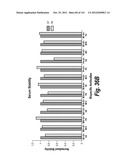 MONOSPECIFIC AND BISPECIFIC ANTI-IGF-1R AND ANTI-ERBB3 ANTIBODIES diagram and image