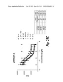 MONOSPECIFIC AND BISPECIFIC ANTI-IGF-1R AND ANTI-ERBB3 ANTIBODIES diagram and image