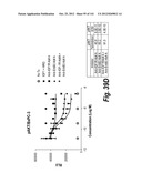 MONOSPECIFIC AND BISPECIFIC ANTI-IGF-1R AND ANTI-ERBB3 ANTIBODIES diagram and image