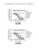 MONOSPECIFIC AND BISPECIFIC ANTI-IGF-1R AND ANTI-ERBB3 ANTIBODIES diagram and image