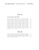 Human Anti-IFN-gamma Neutralizing Antibodies as Selective IFN-gamma     Pathway Inhibitors diagram and image