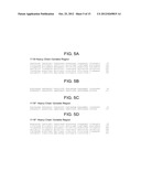 Human Anti-IFN-gamma Neutralizing Antibodies as Selective IFN-gamma     Pathway Inhibitors diagram and image