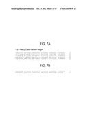 Human Anti-IFN-gamma Neutralizing Antibodies as Selective IFN-gamma     Pathway Inhibitors diagram and image