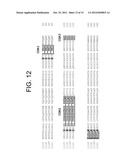 Human Anti-IFN-gamma Neutralizing Antibodies as Selective IFN-gamma     Pathway Inhibitors diagram and image
