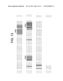 Human Anti-IFN-gamma Neutralizing Antibodies as Selective IFN-gamma     Pathway Inhibitors diagram and image