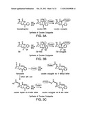 ANTI-DRUG VACCINES diagram and image