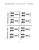 CONJUGATES WITH IMPROVED PHARMACOKINETIC PROPERTIES diagram and image