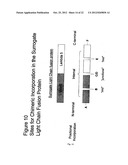 CONJUGATES WITH IMPROVED PHARMACOKINETIC PROPERTIES diagram and image