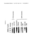 HMGN POLYPEPTIDES AS IMMUNE ENHANCERS AND HMGN ANTAGONISTS AS IMMUNE     SUPPRESSANTS diagram and image