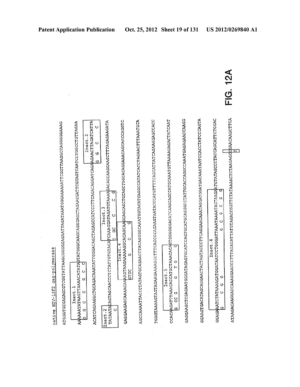 EXPRESSION OF HIV POLYPEPTIDES AND PRODUCTION OF VIRUS-LIKE PARTICLES - diagram, schematic, and image 20