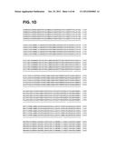 COMPOSITIONS RELATING TO A MUTANT CLOSTRIDIUM DIFFICILE TOXIN AND METHODS     THEREOF diagram and image