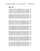 COMPOSITIONS RELATING TO A MUTANT CLOSTRIDIUM DIFFICILE TOXIN AND METHODS     THEREOF diagram and image