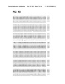 COMPOSITIONS RELATING TO A MUTANT CLOSTRIDIUM DIFFICILE TOXIN AND METHODS     THEREOF diagram and image