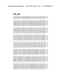 COMPOSITIONS RELATING TO A MUTANT CLOSTRIDIUM DIFFICILE TOXIN AND METHODS     THEREOF diagram and image