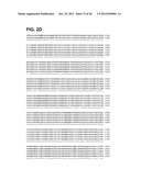 COMPOSITIONS RELATING TO A MUTANT CLOSTRIDIUM DIFFICILE TOXIN AND METHODS     THEREOF diagram and image