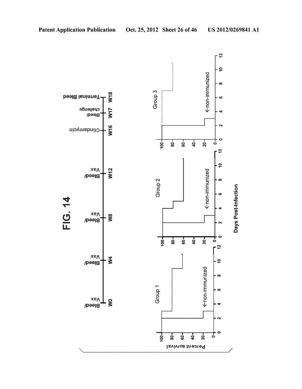 COMPOSITIONS RELATING TO A MUTANT CLOSTRIDIUM DIFFICILE TOXIN AND METHODS     THEREOF - diagram, schematic, and image 27