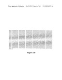 EXPRESSION CASSETTES ENDCODING HIV-1 SOUTH AFRICAN SUBTYPE C MODIFIED     PROTEINS diagram and image