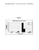 EXPRESSION CASSETTES ENDCODING HIV-1 SOUTH AFRICAN SUBTYPE C MODIFIED     PROTEINS diagram and image