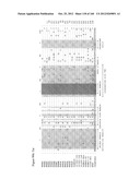 EXPRESSION CASSETTES ENDCODING HIV-1 SOUTH AFRICAN SUBTYPE C MODIFIED     PROTEINS diagram and image