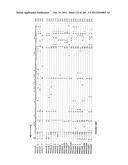 EXPRESSION CASSETTES ENDCODING HIV-1 SOUTH AFRICAN SUBTYPE C MODIFIED     PROTEINS diagram and image