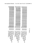 EXPRESSION CASSETTES ENDCODING HIV-1 SOUTH AFRICAN SUBTYPE C MODIFIED     PROTEINS diagram and image