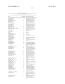 EXPRESSION CASSETTES ENDCODING HIV-1 SOUTH AFRICAN SUBTYPE C MODIFIED     PROTEINS diagram and image