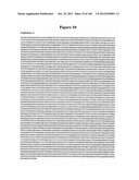 EXPRESSION CASSETTES ENDCODING HIV-1 SOUTH AFRICAN SUBTYPE C MODIFIED     PROTEINS diagram and image