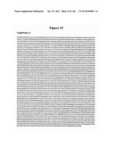 EXPRESSION CASSETTES ENDCODING HIV-1 SOUTH AFRICAN SUBTYPE C MODIFIED     PROTEINS diagram and image