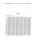 EXPRESSION CASSETTES ENDCODING HIV-1 SOUTH AFRICAN SUBTYPE C MODIFIED     PROTEINS diagram and image