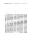 EXPRESSION CASSETTES ENDCODING HIV-1 SOUTH AFRICAN SUBTYPE C MODIFIED     PROTEINS diagram and image