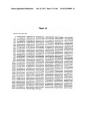 EXPRESSION CASSETTES ENDCODING HIV-1 SOUTH AFRICAN SUBTYPE C MODIFIED     PROTEINS diagram and image