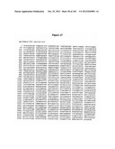 EXPRESSION CASSETTES ENDCODING HIV-1 SOUTH AFRICAN SUBTYPE C MODIFIED     PROTEINS diagram and image