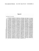 EXPRESSION CASSETTES ENDCODING HIV-1 SOUTH AFRICAN SUBTYPE C MODIFIED     PROTEINS diagram and image