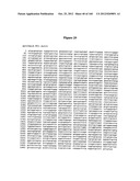 EXPRESSION CASSETTES ENDCODING HIV-1 SOUTH AFRICAN SUBTYPE C MODIFIED     PROTEINS diagram and image