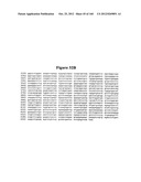 EXPRESSION CASSETTES ENDCODING HIV-1 SOUTH AFRICAN SUBTYPE C MODIFIED     PROTEINS diagram and image