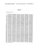 EXPRESSION CASSETTES ENDCODING HIV-1 SOUTH AFRICAN SUBTYPE C MODIFIED     PROTEINS diagram and image