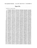 EXPRESSION CASSETTES ENDCODING HIV-1 SOUTH AFRICAN SUBTYPE C MODIFIED     PROTEINS diagram and image