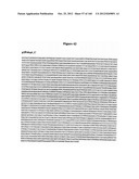 EXPRESSION CASSETTES ENDCODING HIV-1 SOUTH AFRICAN SUBTYPE C MODIFIED     PROTEINS diagram and image