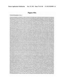 EXPRESSION CASSETTES ENDCODING HIV-1 SOUTH AFRICAN SUBTYPE C MODIFIED     PROTEINS diagram and image