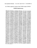 EXPRESSION CASSETTES ENDCODING HIV-1 SOUTH AFRICAN SUBTYPE C MODIFIED     PROTEINS diagram and image