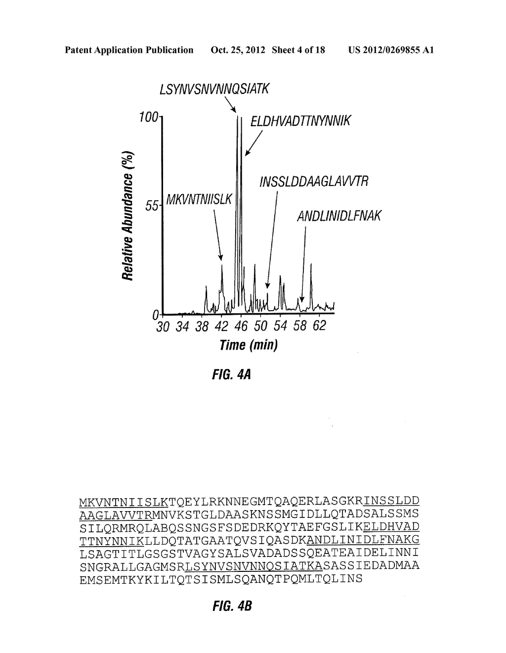 TOLL-LIKE RECEPTOR 5 LIGANDS AND METHODS OF USE - diagram, schematic, and image 05