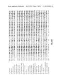 TOLL-LIKE RECEPTOR 5 LIGANDS AND METHODS OF USE diagram and image