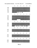 POLYPEPTIDES diagram and image