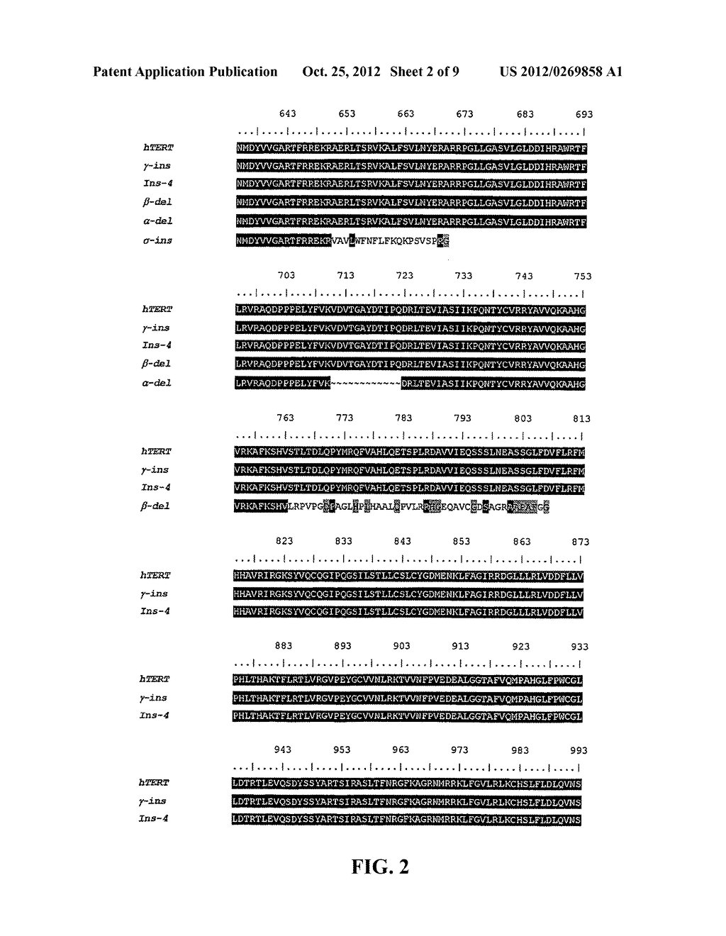 POLYPEPTIDES - diagram, schematic, and image 03