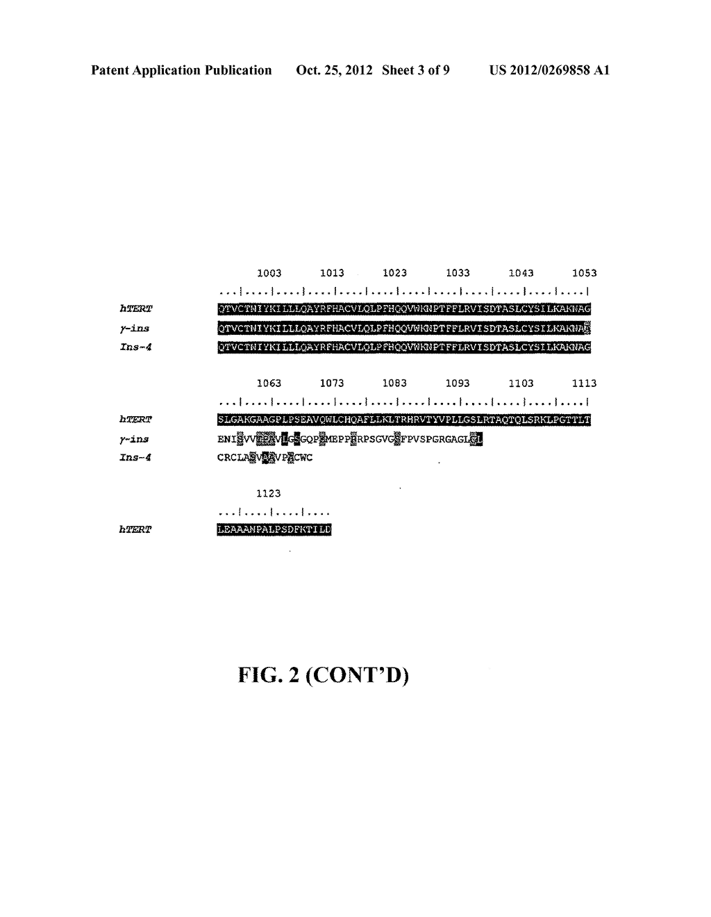 POLYPEPTIDES - diagram, schematic, and image 04