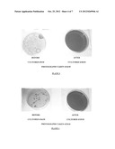 Method for the pasteurization of wine on a production basis in the winery diagram and image