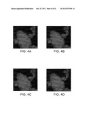 AMORPHOUS AND PARTIALLY AMORPHOUS NANOSCALE ION STORAGE MATERIALS diagram and image